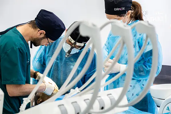 Live Implant Course – Spain