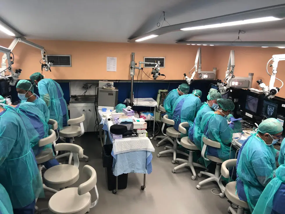 Reconstructive Surgery in Human Cadaver Course
